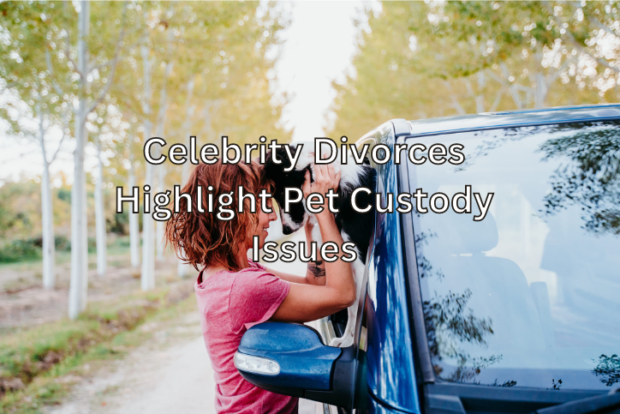 Women Holding Dog In Car on Pet Custody Visit