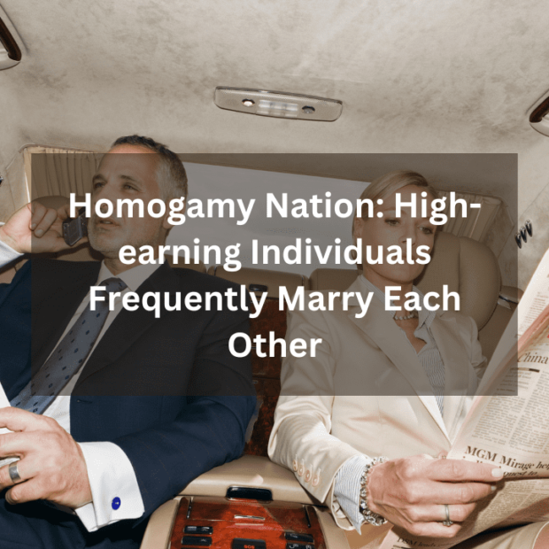 Homogamy Nation: High-earning Individuals Frequently Marry Each Other